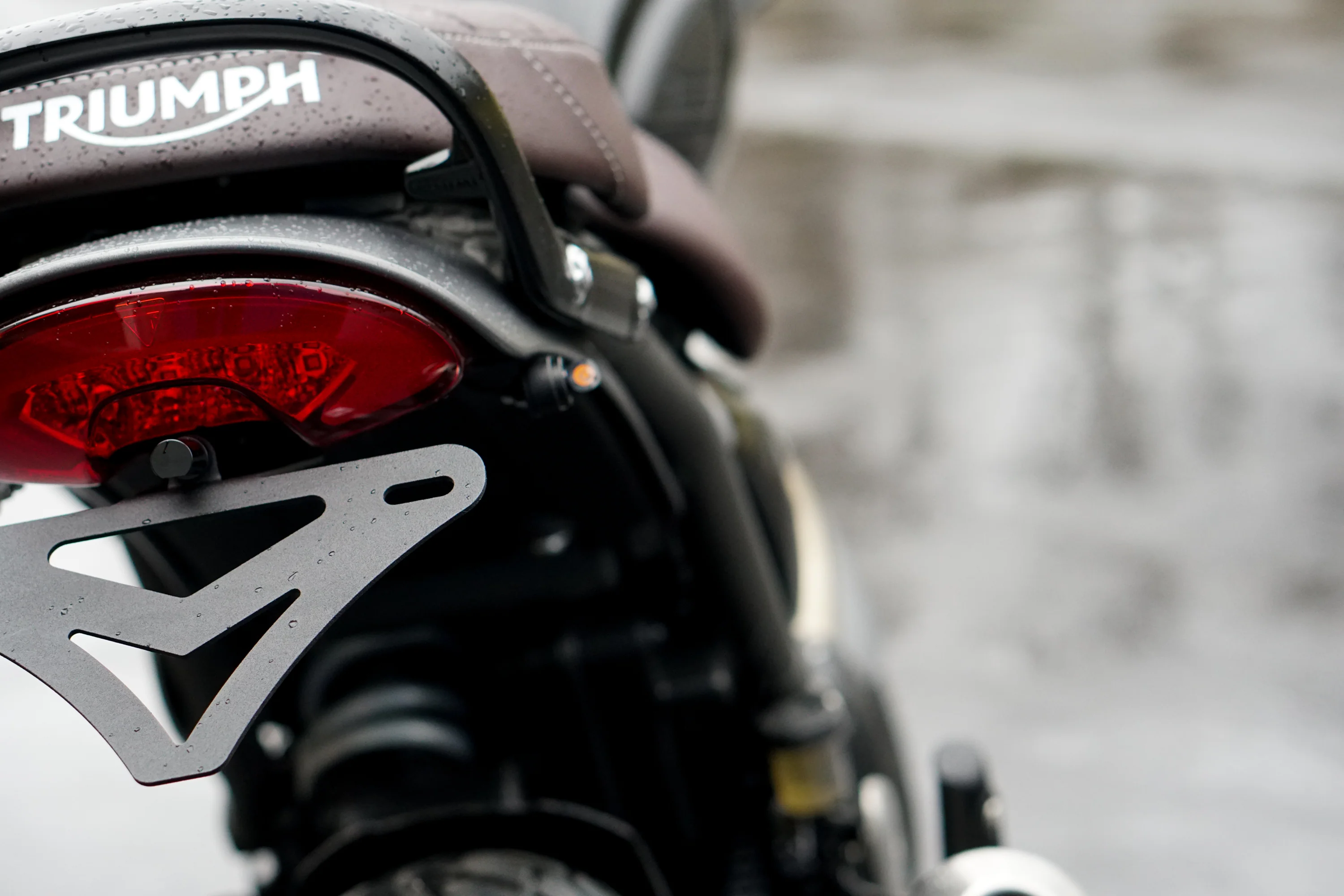 Triumph Speed 400 & Scrambler 400 Plug & Play Tail Tidy Kit - Image 7